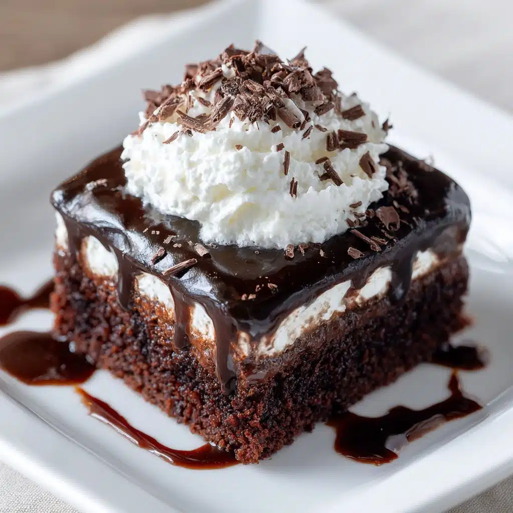 Hot Fudge Chocolate Pudding Cake Recipe - Recipe Image