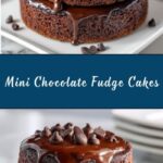 Mini Chocolate Fudge Cakes Recipe
