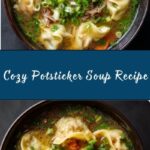 Potsticker Soup Recipe