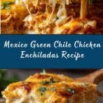 Mexico Green Chile Chicken Enchiladas Recipe
