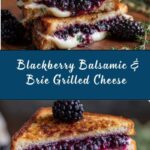Blackberry Balsamic and Brie Grilled Cheese Recipe