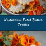 Nasturtium Cookie Recipe