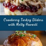 Baked Cranberry Turkey Sliders with Havarti & Poppy Seed Topping Recipe