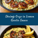 Shrimp Orzo Lemon Garlic Sauce Recipe