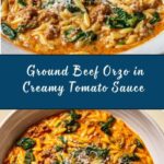Ground Beef Orzo with Tomato Cream Sauce Recipe