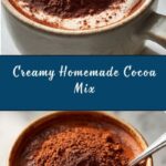 Homemade Cocoa Mix Powder Recipe