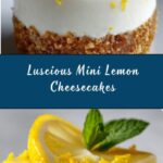 Mini Lemon Cheesecakes Recipe