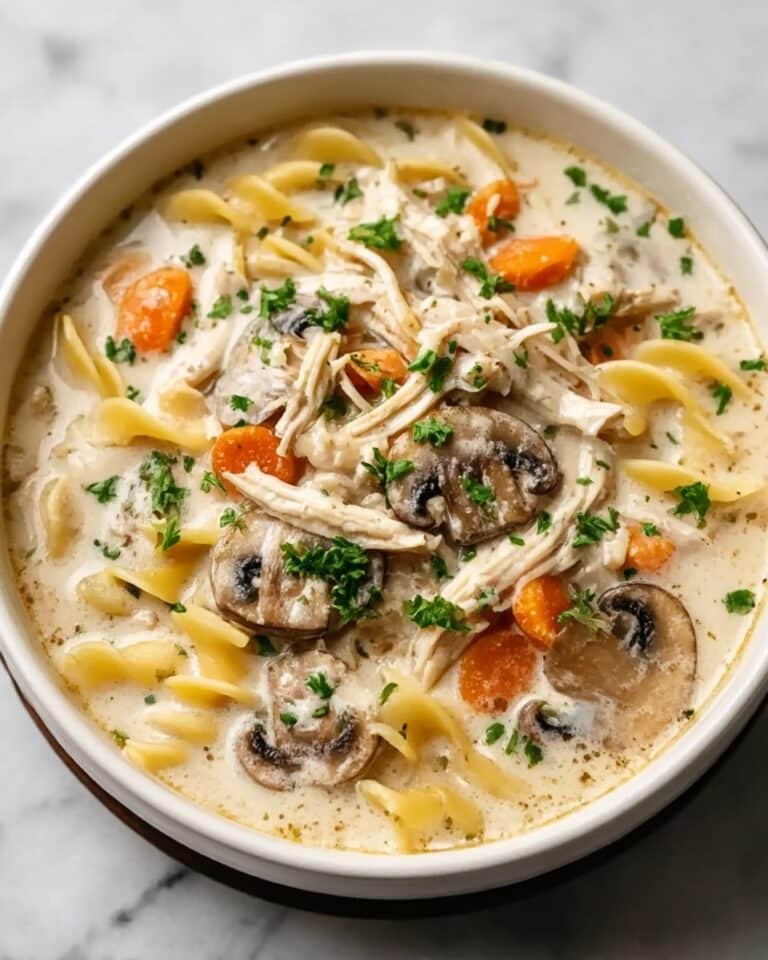Chicken Tetrazzini Soup Recipe
