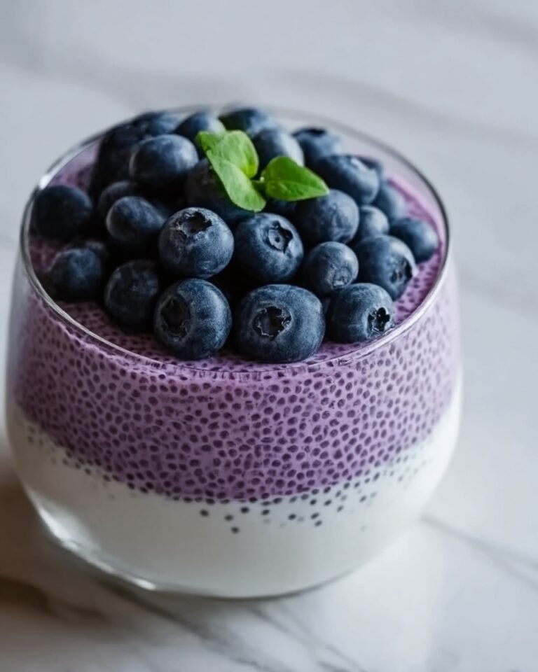 Blueberry Chia Seed Pudding Recipe