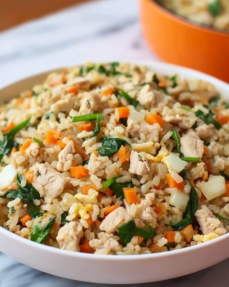 Easy Chicken and Rice Dog Food Recipe