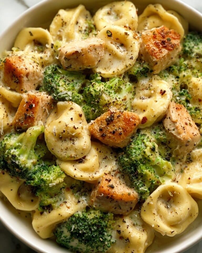 Easy Creamy Garlic Parmesan Tortellini with Chicken and Broccoli Recipe
