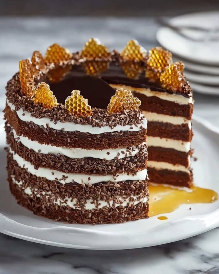 Chocolate Honey Cake – Spartak Recipe