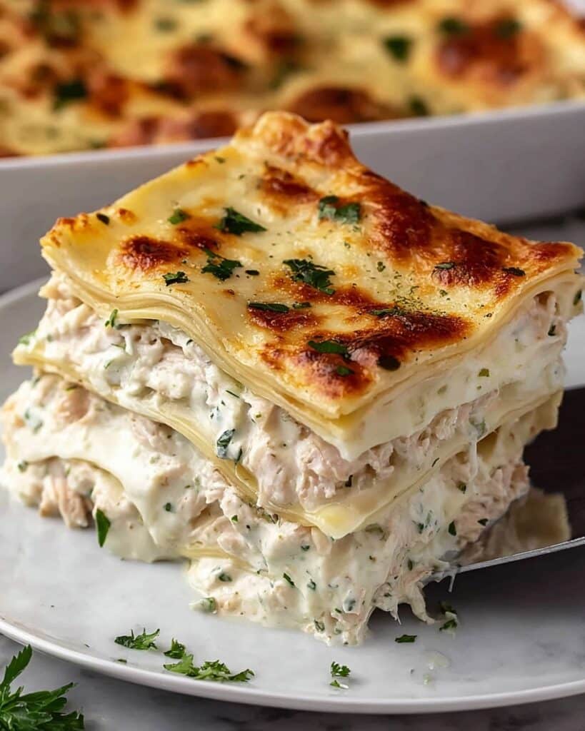 Cheesy Chicken Alfredo Lasagna Recipe